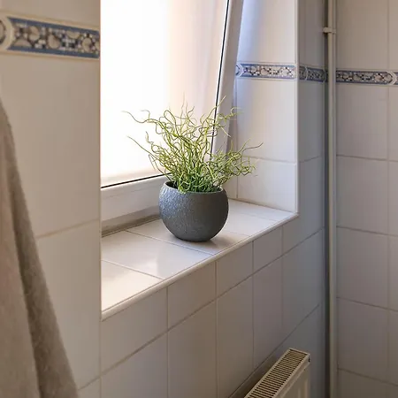 Stodolni بيت ضيافة اوسترافا